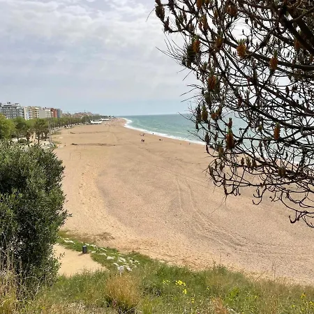 Flat With Birdsongs & Character! 公寓