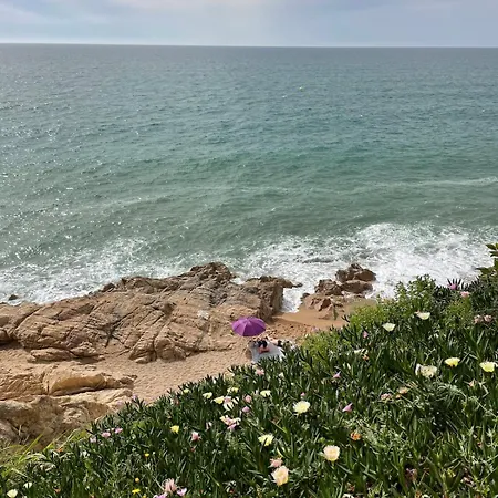 Flat With Birdsongs & Character! Appartamento Calella