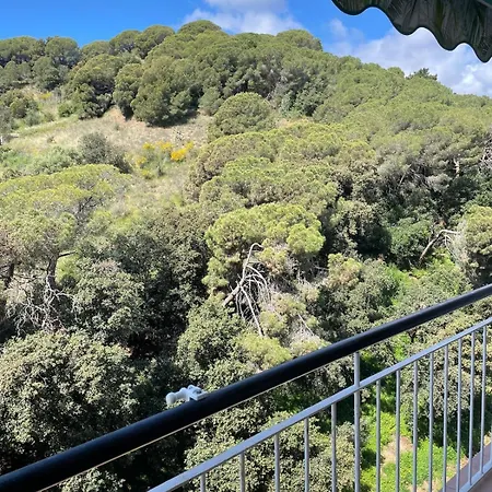 Flat With Birdsongs & Character! Appartamento