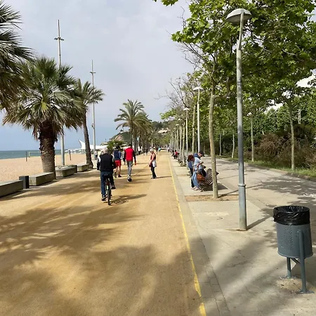 Appartamento Flat With Birdsongs & Character!