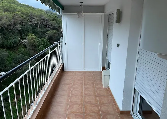 Flat With Birdsongs & Character! *