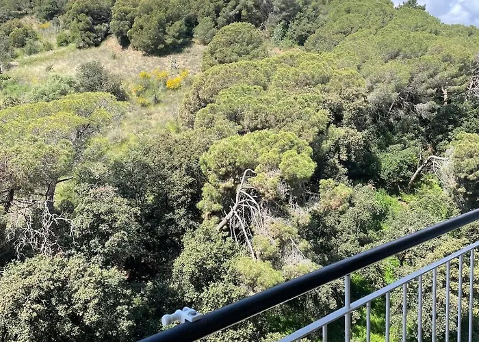 Flat With Birdsongs & Character! Apartman