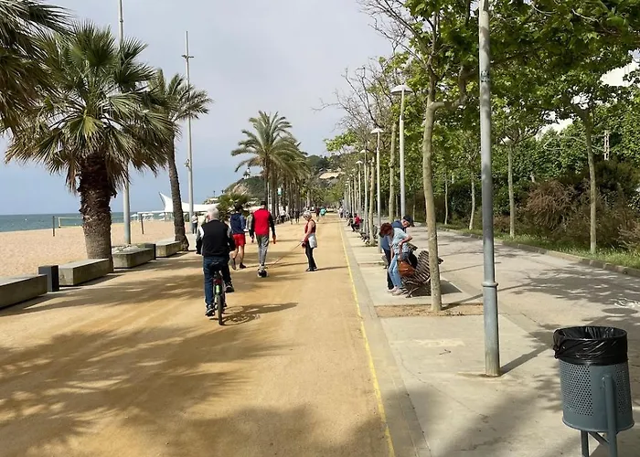 Appartamento Flat With Birdsongs & Character!