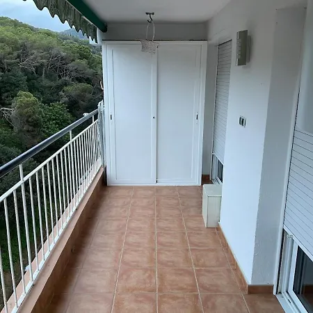 Flat With Birdsongs & Character! *