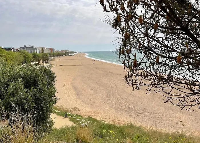 Flat With Birdsongs & Character! Апартаменты